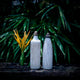 Streamlined Oasis Bottle