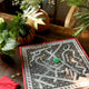 Snake and Ladder