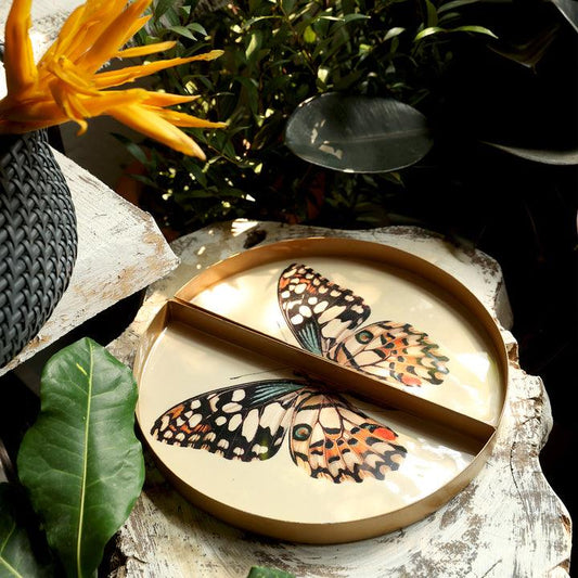 Symphony Wings - The Butterfly Tray