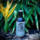 Spiral Oasis Bottle