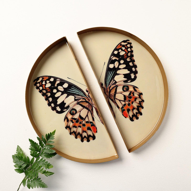 Symphony Wings - The Butterfly Tray