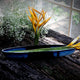 Oceanic Boat Craft