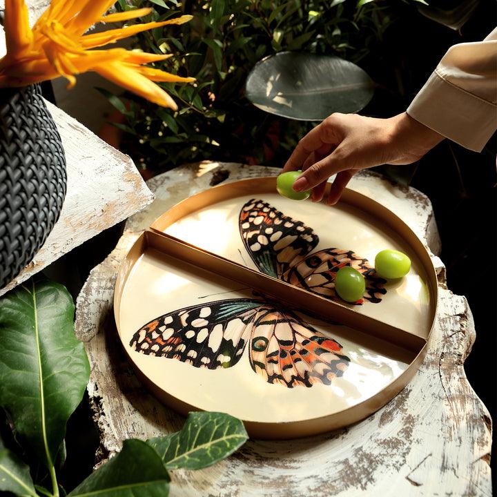 Symphony Wings - The Butterfly Tray
