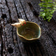 Story Bowl