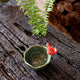 Bloom Bowl