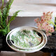 Palm Haven Tray - S, M, L