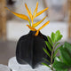 Noir Vase