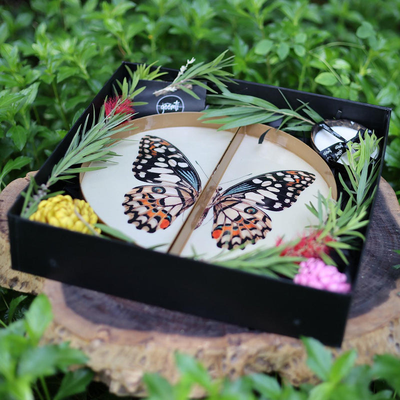 Symphony Wings - The Butterfly Tray