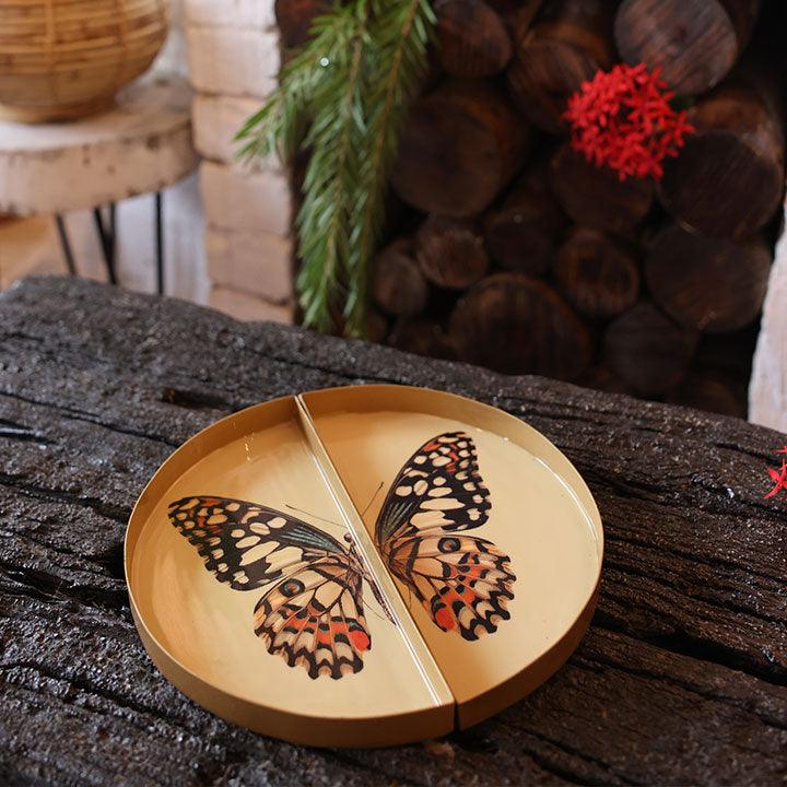 Symphony Wings - The Butterfly Tray